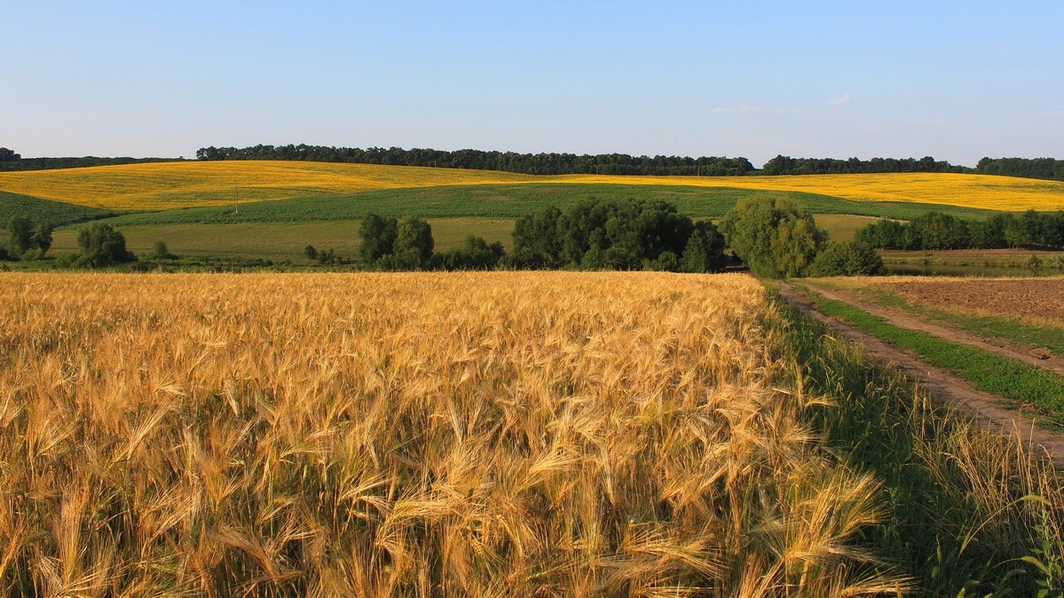 Монополизации сельского хозяйства на Украине