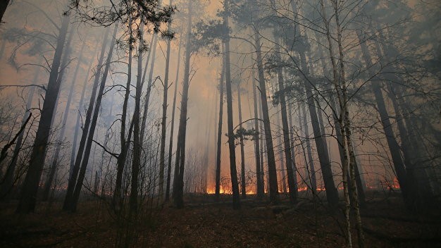 В Луганской области бушует лесной пожар