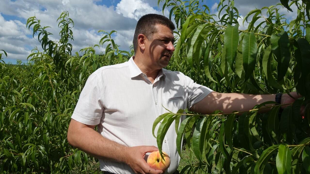Юрій Мигаль: «Кримське зерно завжди відрізнялося високою якістю і затребуваністю»
