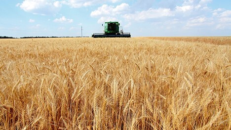 Великобритания хочет вывезти из Украины зерно