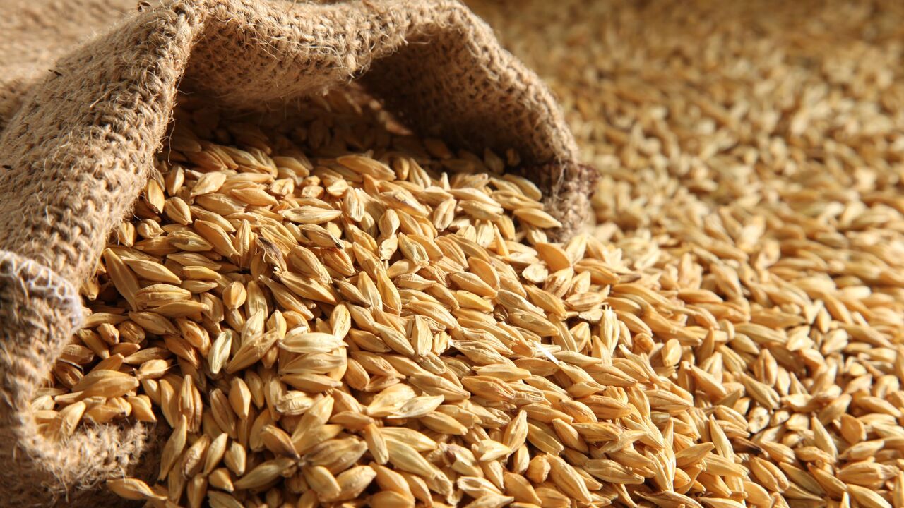 Зерно розбрату. Які умови вивезення пшениці?