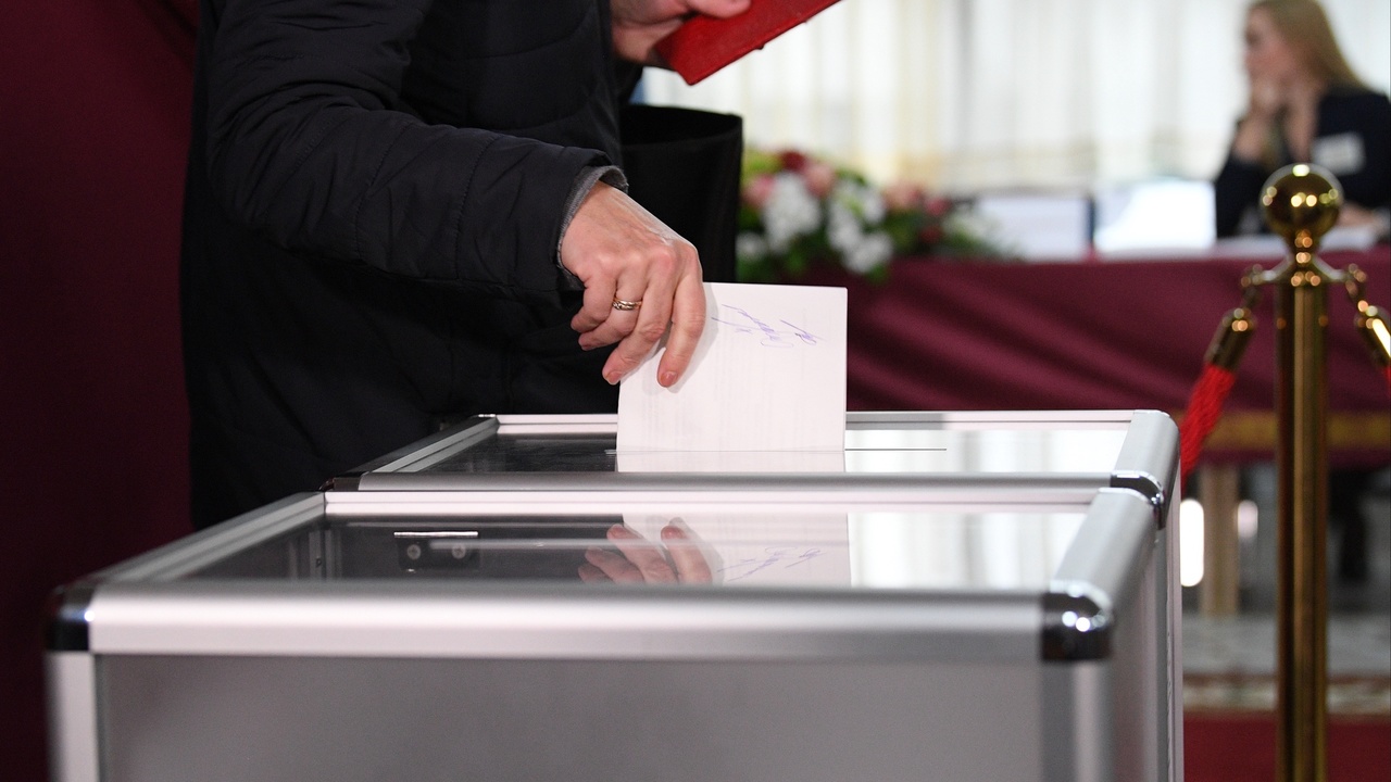 Выборы в Белоруссии: отличия от предыдущих выборов