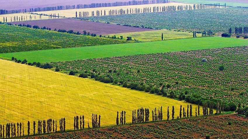 «Черная распродажа»: на Украине открывается рынок сельскохозяйственных земель
